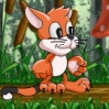 Toffy Kedi